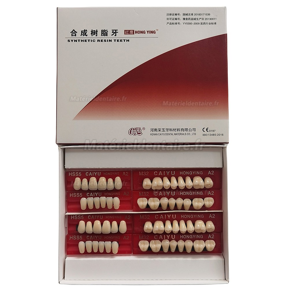 Prothèses dentaires en résine Caiyu Hongying (trois couches de couleur) A1/A2/A3/A3.5/A4